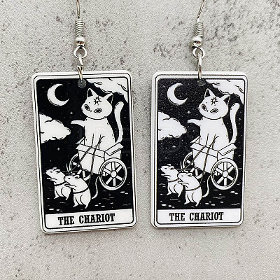 Cartoon Theme Acrylic Dangle Earrings FS-WG40F70-05-1