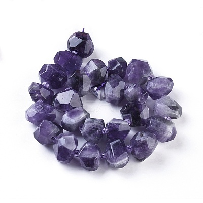 Natural Amethyst Beads Strands G-F653-10-1