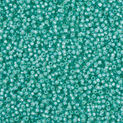 MIYUKI Round Rocailles Beads X-SEED-G008-RR0571-1