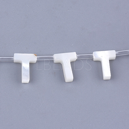 Natural Sea Shell Beads SHEL-T012-60T-1