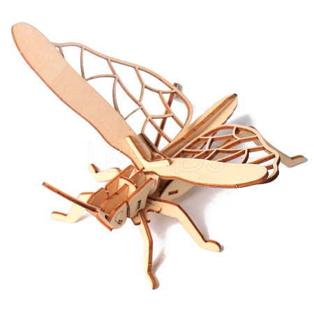 Insect 3D Wooden Puzzle Simulation Animal Assembly PW-WG12240-06-1
