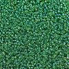 MIYUKI Round Rocailles Beads SEED-X0054-RR0179L-3