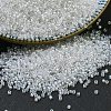 MIYUKI Delica Beads SEED-MY11-DB1671-1