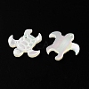 Natural White Shell Pendants SSHEL-M022-05-2