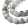 Natural Labradorite Round Beads Strands G-S158-8mm-3