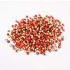 Back Plated Grade A Diamond Glass Pointed Rhinestone RGLA-SS10-019-2