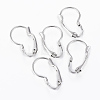 Tarnish Resistant 304 Stainless Steel Leverback Earring Findings LS-STAS-G161-20B-1