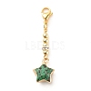 Natural Gemstone Star Pendant Decorations HJEW-JM00648-2