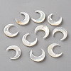Natural White Shell Beads LS-SSHEL-Q311-004B-01-2