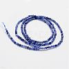 Natural Grade A Sodalite Beads Strands G-G663-21-2mm-2