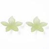 Transparent Acrylic Beads MACR-S373-127-D06-4