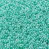 MIYUKI Round Rocailles Beads SEED-X0055-RR0536-3