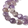 Natural Amethyst Beads Strands G-P489-05-4