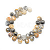 Natural Crazy Lace Agate Gemstone Beads Strands X-G-T006-10-2
