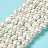 Natural Cultured Freshwater Pearl Beads Strands PEAR-E017-05-2