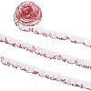 5M Polyester Ribbon OCOR-CY0003-20B-1