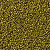 MIYUKI Delica Beads SEED-X0054-DB2141-3