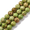 Dyed Natural Regalite/Imperial Jasper/Sea Sediment Jasper Beads Strands G-B124-C03-08-1