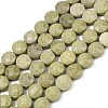 Natural Alashan Agate Beads Strands G-F812-B02-02-3