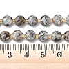 Natural Syenite Beads Strands G-K389-B86-01-5