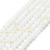 Opaque Glass Beads Strands LS-EGLA-A035-P6mm-L01-1