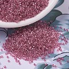 MIYUKI Delica Beads SEED-X0054-DB0902-1