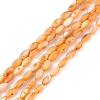 Natural Freshwater Shell Dyed Beads Strands SHEL-M018-13-08-1