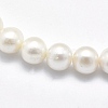 Natural Cultured Freshwater Pearl Beads Strands PEAR-F007-28-01-3