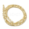 Natural Trochus Shell Beads Strands SHEL-K006-26-2