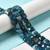 Natural Apatite Beads Strands G-C109-A13-02-2