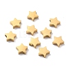 Ion Plating(IP) 304 Stainless Steel Charms STAS-F271-15G-1