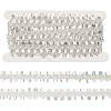 5 Yards Paillette with Glass Seed Bead Ribbons OCOR-BC0007-67B-1
