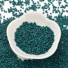 Baking Paint Glass Seed Beads SEED-S042-05B-67-2
