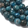 Natural Apatite Beads Strands G-F816-A01-01B-4