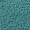 MIYUKI Round Rocailles Beads SEED-X0054-RR0435-3