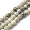 Natural Peace Jade Beads Strands G-E598-04C-1