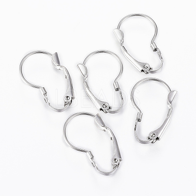 Tarnish Resistant 304 Stainless Steel Leverback Earring Findings LS-STAS-G161-20B-1