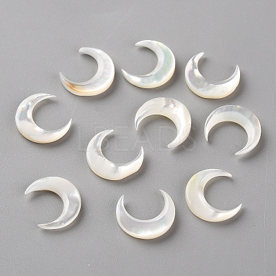 Natural White Shell Beads LS-SSHEL-Q311-004B-01-1