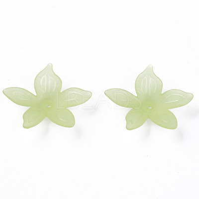 Transparent Acrylic Beads MACR-S373-127-D06-1