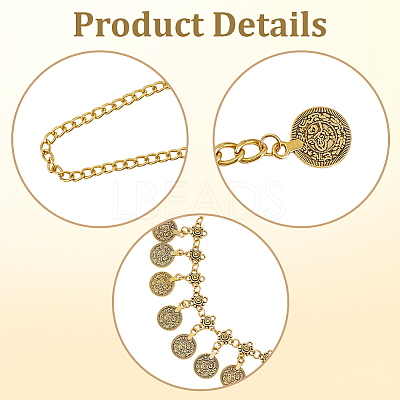 1Pc Ethnic Style Alloy & Iron Coin Tassel Waist Body Chains for Women AJEW-GF0014-23-1