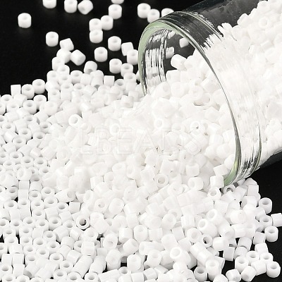 Cylinder Seed Beads SEED-H001-H24-1