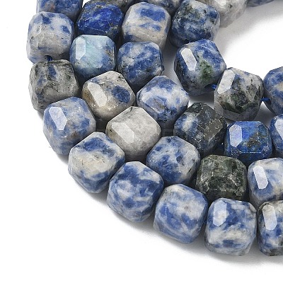 Natural Blue Spot Jasper Beads Strands G-C267-A20-1