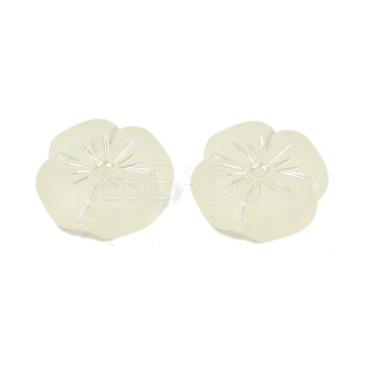 Frosted Transparent Acrylic Beads OACR-P029-19B-03-1