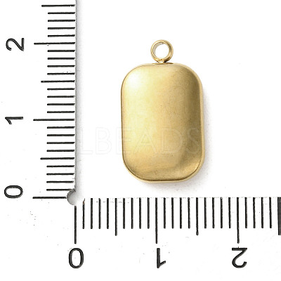 304 Stainless Steel Acrylic Pendants LS-STAS-M091-02C-G-1