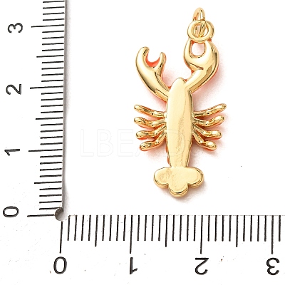 Brass with Enamel Pendants KK-CBA2F11-08B-G02-1