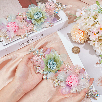 Polyester with Rhinestone  Clothing Patches DIY-WH20010-31-1