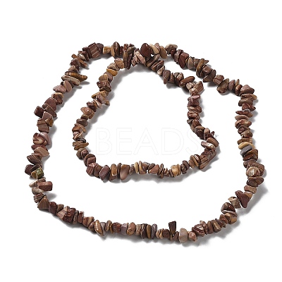 Natural Petrified Wood Beads Strands G-M205-89-1