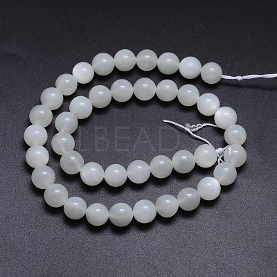 Natural White Moonstone Round Bead Strands G-M262-10mm-04-1