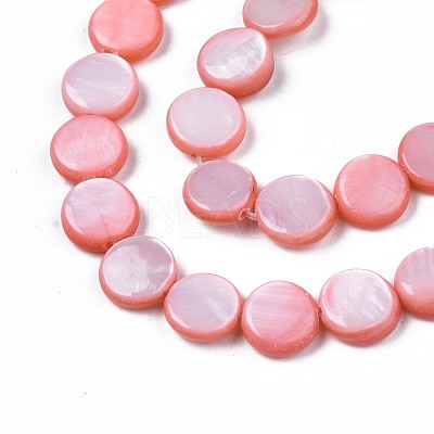 Freshwater Shell Beads Strands SHEL-T009-B16-02-1
