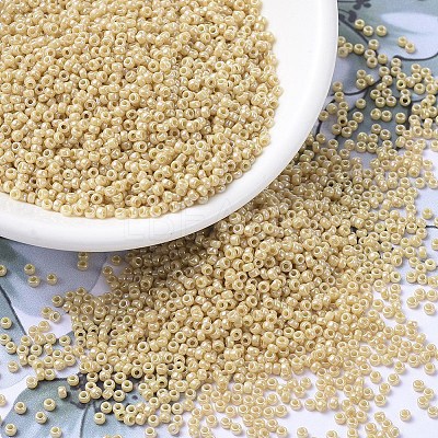 MIYUKI Round Rocailles Beads X-SEED-G007-RR0488-1